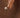 Pearl inside Circle Studs