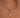 8 Point Star Studded Pendant Chain