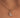 Butterfly Pendant Chain