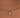 Bezel Necklace